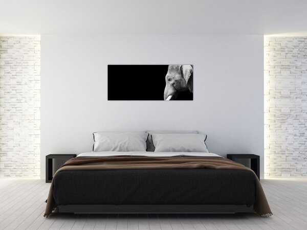 Tablou - Elefant (120x50 cm)