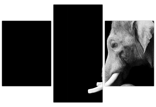 Tablou - Elefant (90x60 cm)