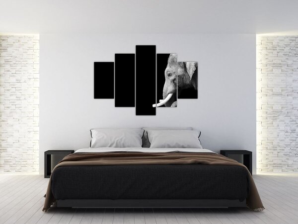 Tablou - Elefant (150x105 cm)