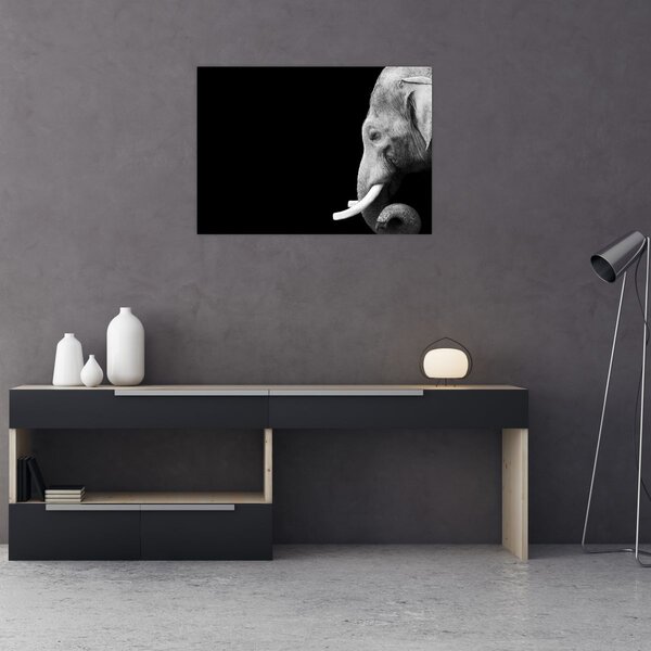 Tablou - Elefant (70x50 cm)