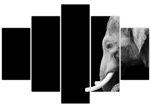 Tablou - Elefant (150x105 cm)