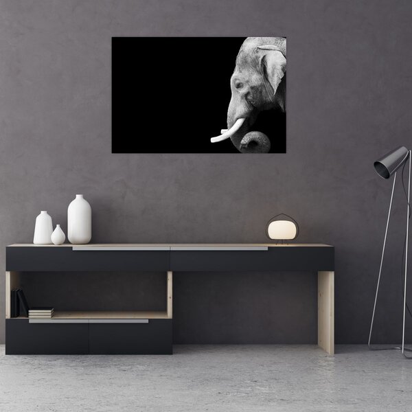 Tablou - Elefant (90x60 cm)