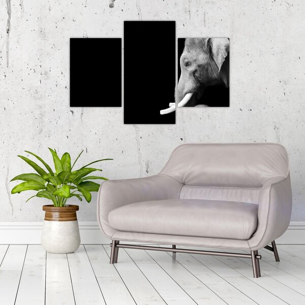 Tablou - Elefant (90x60 cm)