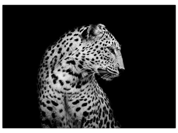 Tablou - Leopardul (70x50 cm)