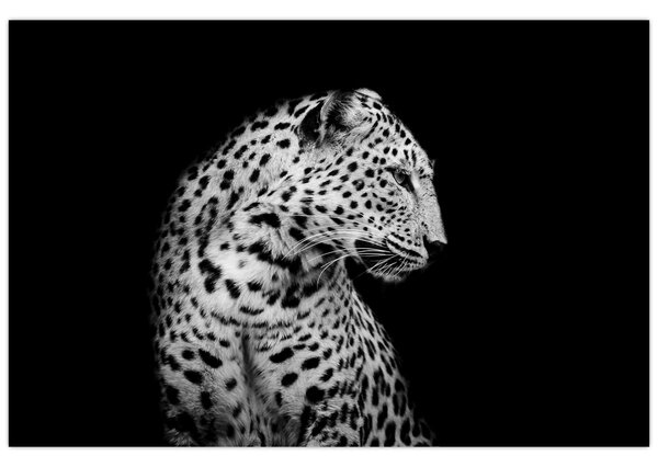 Tablou - Leopardul (90x60 cm)