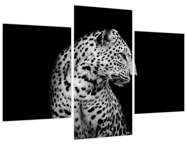 Tablou - Leopardul (90x60 cm)