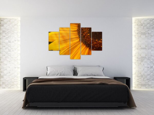 Tablou - Floarea-soarelui (150x105 cm)