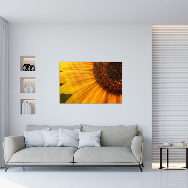 Tablou - Floarea-soarelui (90x60 cm)