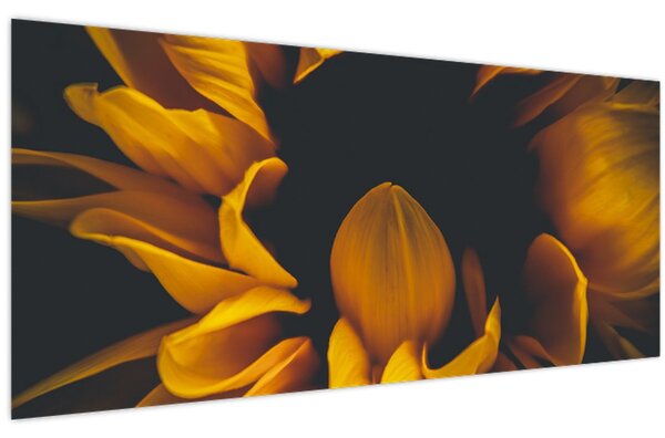 Tablou - Floarea-soarelui în fundal negru (120x50 cm)