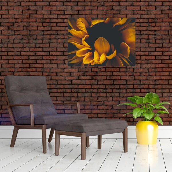 Tablou - Floarea-soarelui în fundal negru (70x50 cm)
