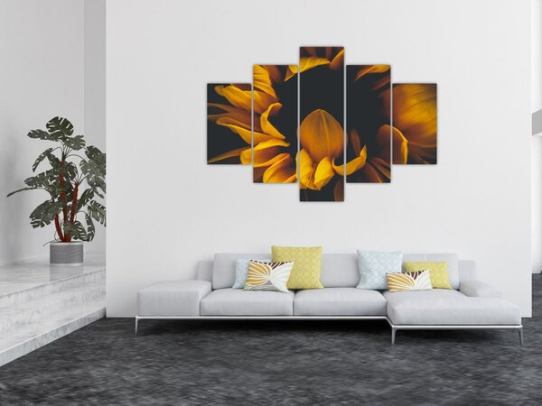 Tablou - Floarea-soarelui în fundal negru (150x105 cm)