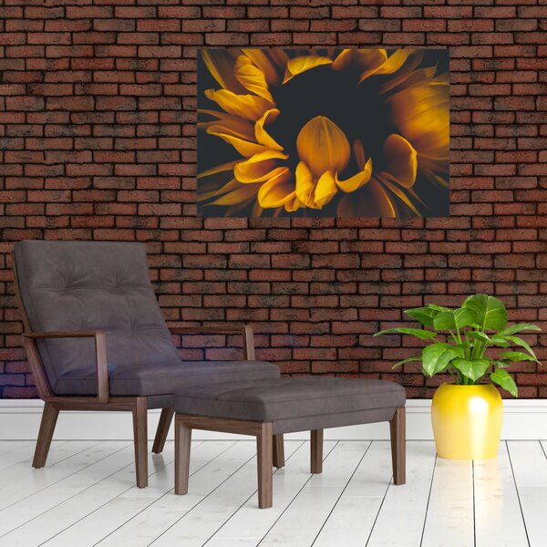 Tablou - Floarea-soarelui în fundal negru (90x60 cm)