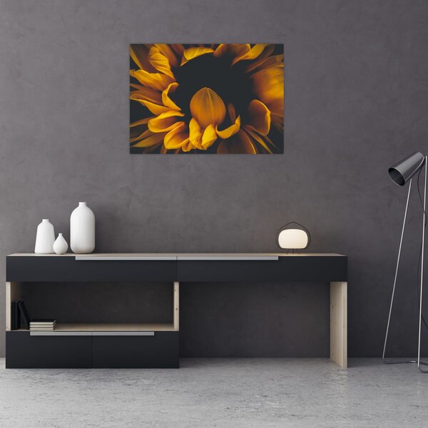 Tablou - Floarea-soarelui în fundal negru (70x50 cm)