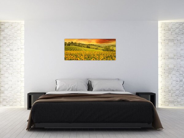 Tablou - Câmp de floarea-soarelui (120x50 cm)