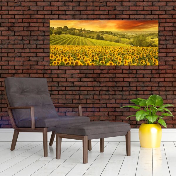 Tablou - Câmp de floarea-soarelui (120x50 cm)