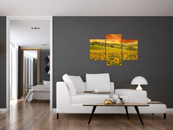 Tablou - Câmp de floarea-soarelui (90x60 cm)