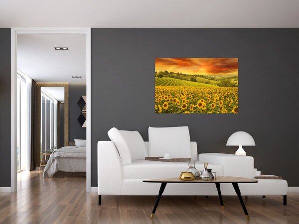 Tablou - Câmp de floarea-soarelui (90x60 cm)