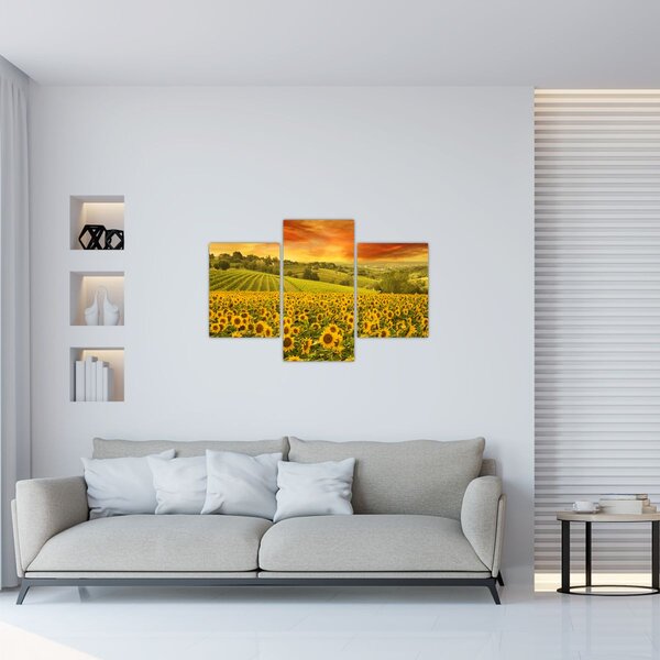 Tablou - Câmp de floarea-soarelui (90x60 cm)