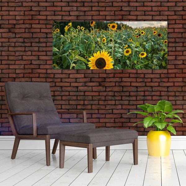 Tablou - Câmpul de floarea-soarelui II. (120x50 cm)