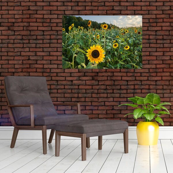 Tablou - Câmpul de floarea-soarelui II. (90x60 cm)