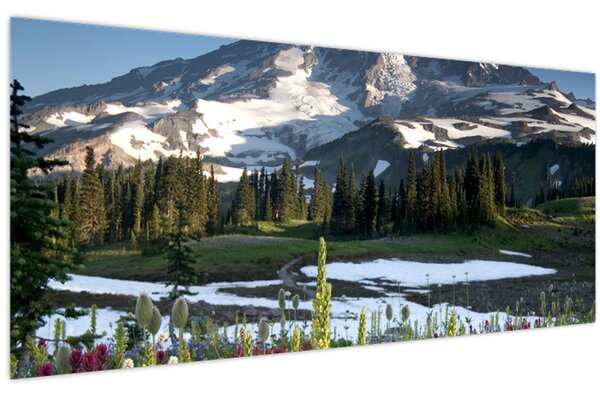 Tablou - Muntele Rainier (120x50 cm)