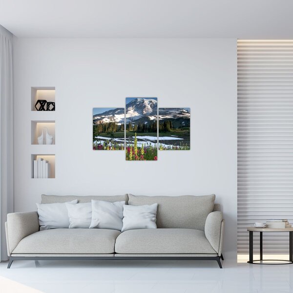 Tablou - Muntele Rainier (90x60 cm)