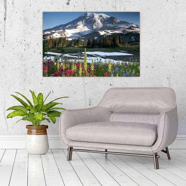 Tablou - Muntele Rainier (90x60 cm)