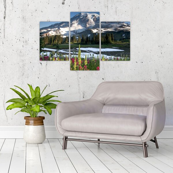 Tablou - Muntele Rainier (90x60 cm)
