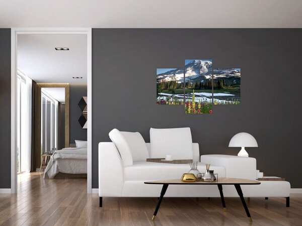 Tablou - Muntele Rainier (90x60 cm)