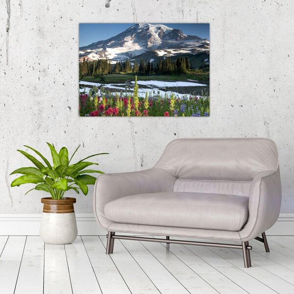 Tablou - Muntele Rainier (70x50 cm)