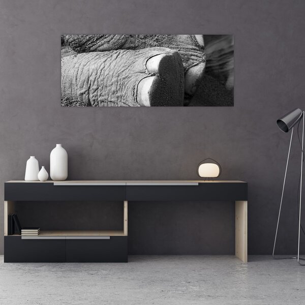 Tablou - Picior de elefant (120x50 cm)