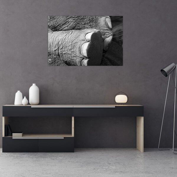 Tablou - Picior de elefant (90x60 cm)