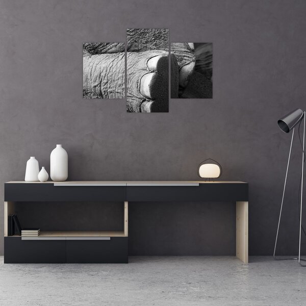 Tablou - Picior de elefant (90x60 cm)