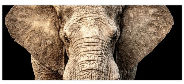 Tablou - Elefant african (120x50 cm)