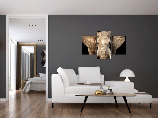 Tablou - Elefant african (90x60 cm)