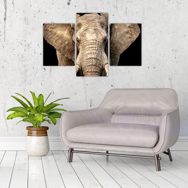 Tablou - Elefant african (90x60 cm)