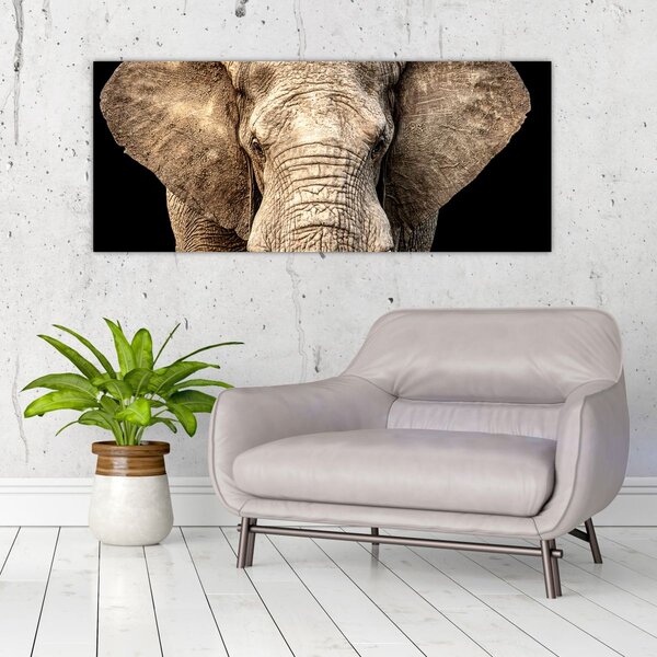 Tablou - Elefant african (120x50 cm)