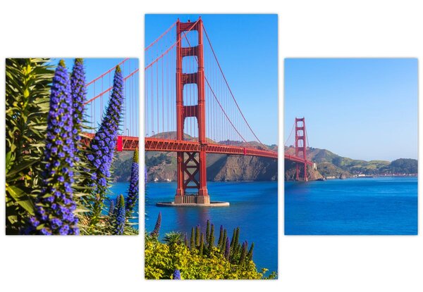 Tablou - Podul Golden Gate, San Francisco (90x60 cm)