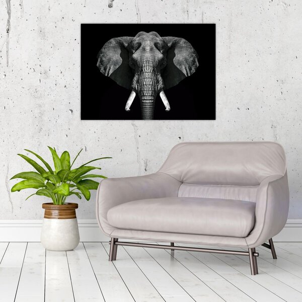 Tablou - Elefant pe fundal negru (70x50 cm)