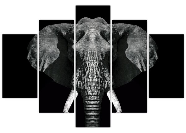 Tablou - Elefant pe fundal negru (150x105 cm)