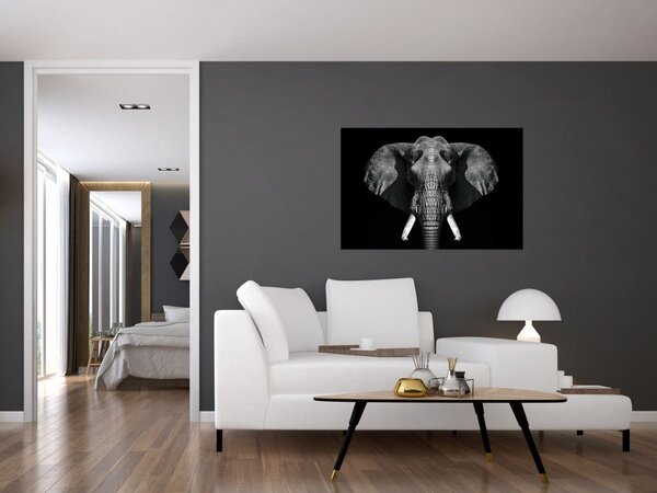 Tablou - Elefant pe fundal negru (90x60 cm)