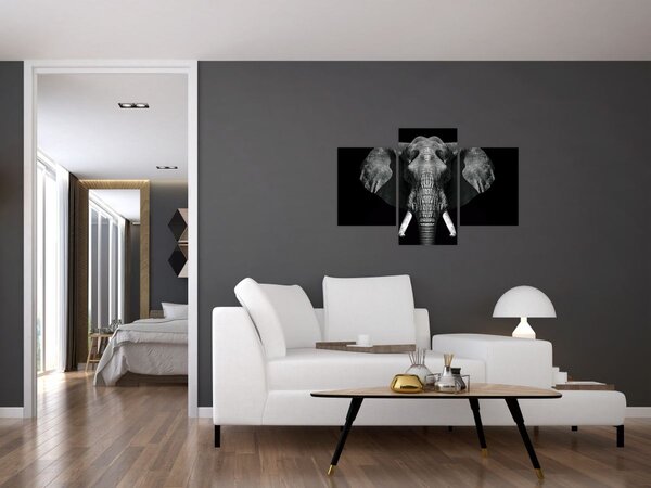 Tablou - Elefant pe fundal negru (90x60 cm)