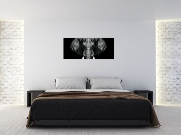 Tablou - Elefant pe fundal negru (120x50 cm)