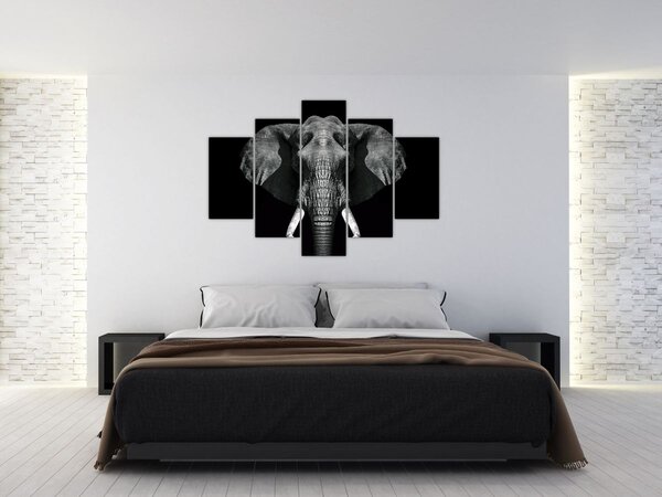Tablou - Elefant pe fundal negru (150x105 cm)