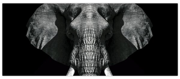 Tablou - Elefant pe fundal negru (120x50 cm)