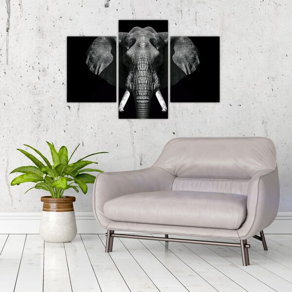 Tablou - Elefant pe fundal negru (90x60 cm)