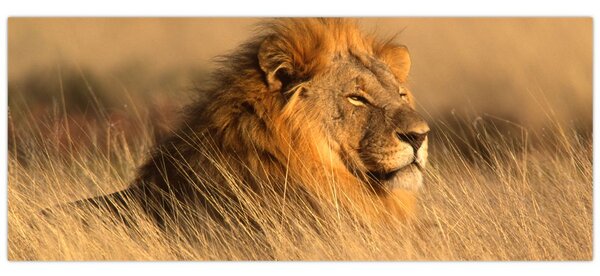 Tablou - Parcul Național Etosha (120x50 cm)