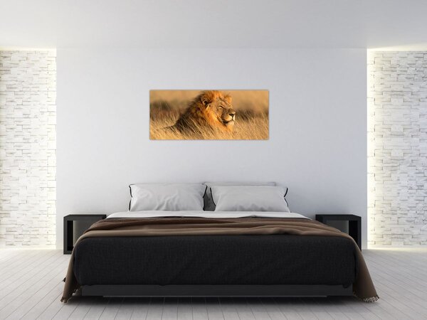 Tablou - Parcul Național Etosha (120x50 cm)