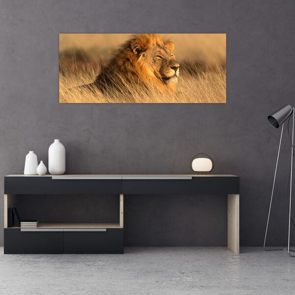 Tablou - Parcul Național Etosha (120x50 cm)