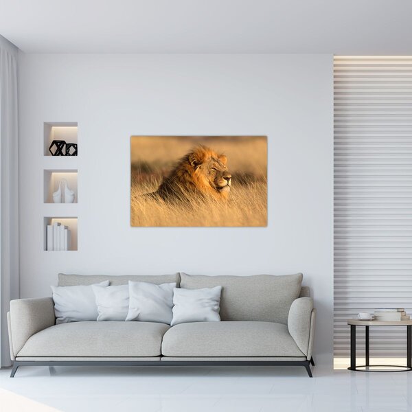Tablou - Parcul Național Etosha (90x60 cm)